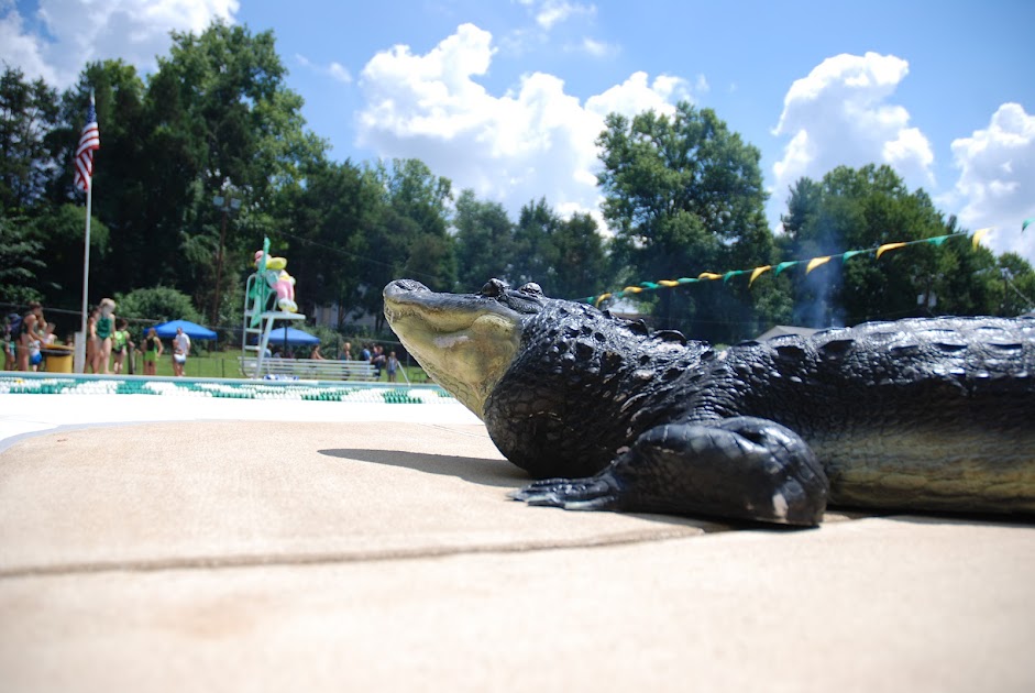 A Meet @ Forest Hollow – Mantua Marlins visit GatorLand 6/29/13